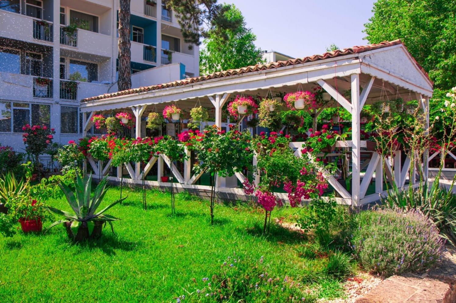 Hotel Minerva إيفوري نورد المظهر الخارجي الصورة